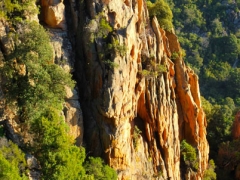 Corse Nature