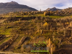 Vignes et village